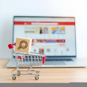 Ecommerce SEO Services